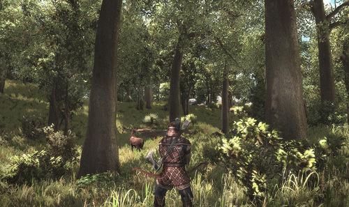 500x_argaan_deer_hunting_in_the_woods