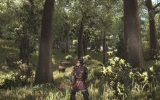 500x_argaan_deer_hunting_in_the_woods