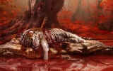 1408005943-fc4-ca-shangrila-injured-tiger