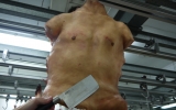 human-torso-from-wesker-and-son