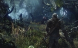 1371178370-leshen-is-a-very-powerful-monster-hiding-deep-in-the-murky-woods-of-no-mans-land