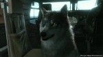Metal Gear Solid V: The Phantom Pain обзавелся новым помощником – волком