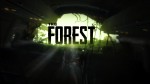 The Forest выйдет на PS4