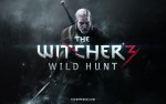 Новый геймплей The Witcher 3: Wild Hunt