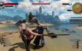 1443440891-the-witcher-3-wild-hunt-hearts-of-stone-dont-always-kick-but-when-i-do-i-aim-for-the-chest