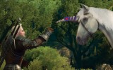 The-Witcher-3-Wild-Hunt-Blood-and-Wine-6