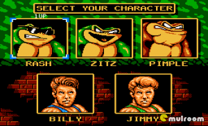 battletoads-and-double-dragon-2