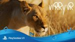 Виртуальное сафари Virry VR появилось в PlayStation Store