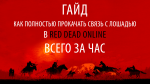 Гайд: Как полностью прокачать связь с лошадью в Red Dead Online всего за час